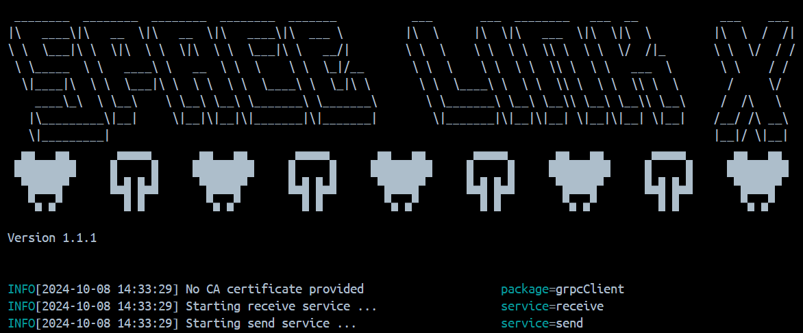 Space Link or How to Test the Security of Your Internal APIs